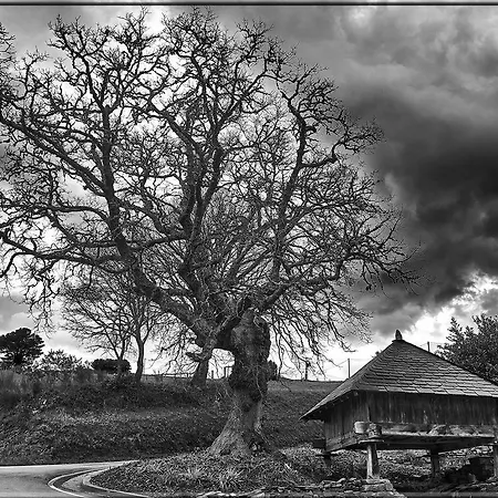 Tatil Evi Casa Montana *